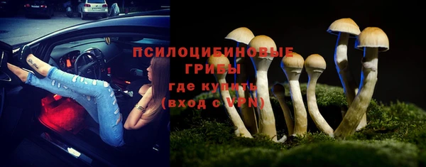 стафф Липки