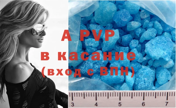 стафф Липки