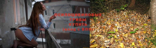 стафф Липки
