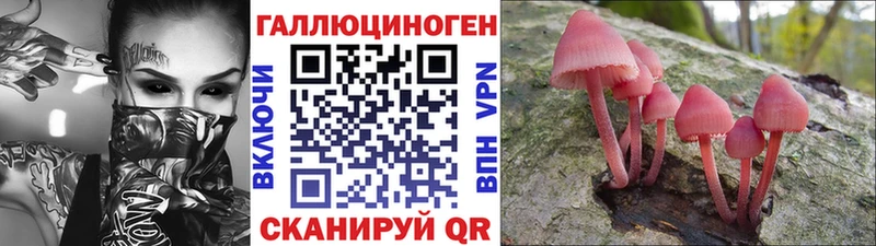 Купить закладки  Сорочинск  Псилоцибиновые грибы GOLDEN TEACHER 