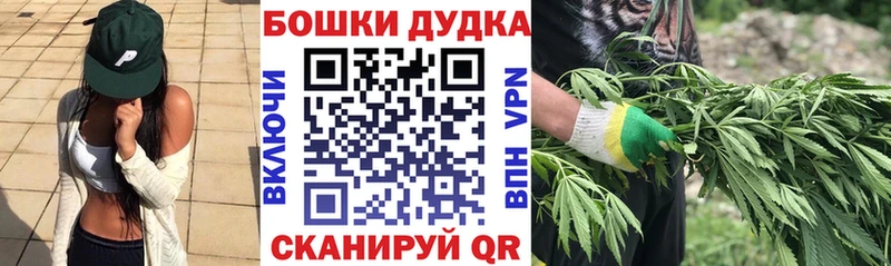 Бошки Шишки ГИДРОПОН  Купить закладки  Сорочинск